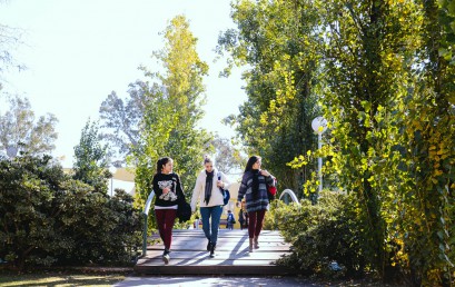 Prórroga para la Convocatoria para Unidades Curriculares de Carreras Universitarias de la FES