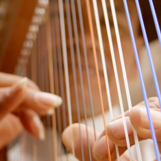 Workshop: “Introducción del arpa al complejo mundo de la orquesta” Nivel l