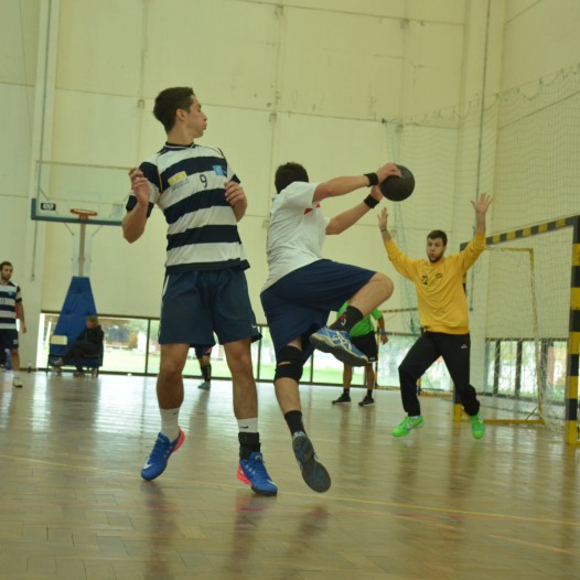 Handball