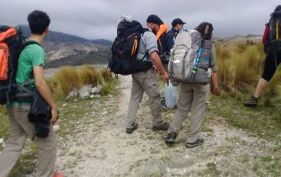 Estudiantes de Guardaparque visitan áreas de restauración ecológica en Los Gigantes