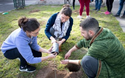 Se plantaron nuevos árboles en la UPC