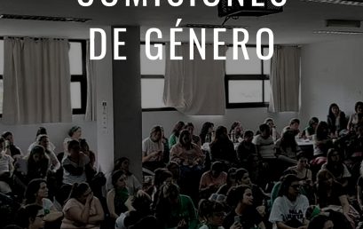 Reunión de Comisiones de Género organizada por el Observatorio de Género (UNLaM)