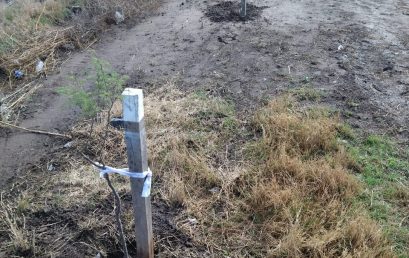 Universidad Provincial de Córdoba comprometida con acciones por el clima