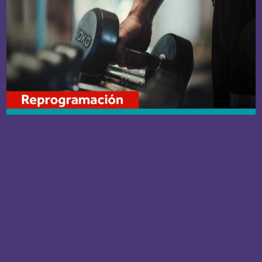 Curso de extensión: Entrenamiento de la fuerza